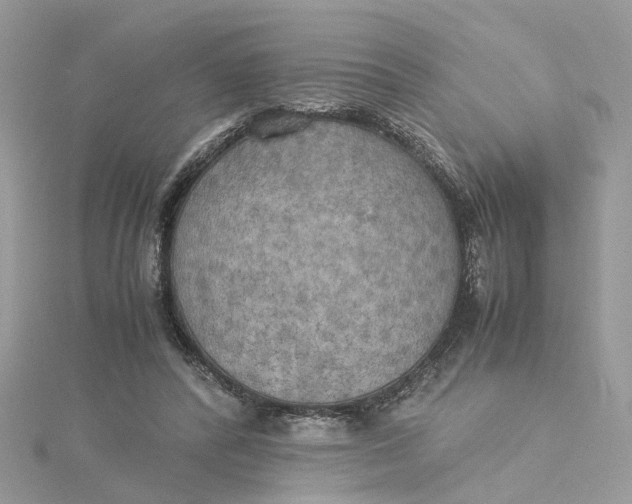 X0000115190400200911181452