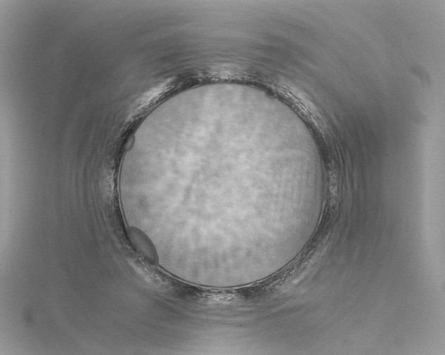 X0000115190401200911181452