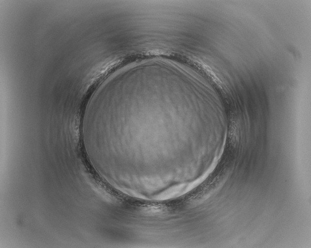 X0000115190402200911181452