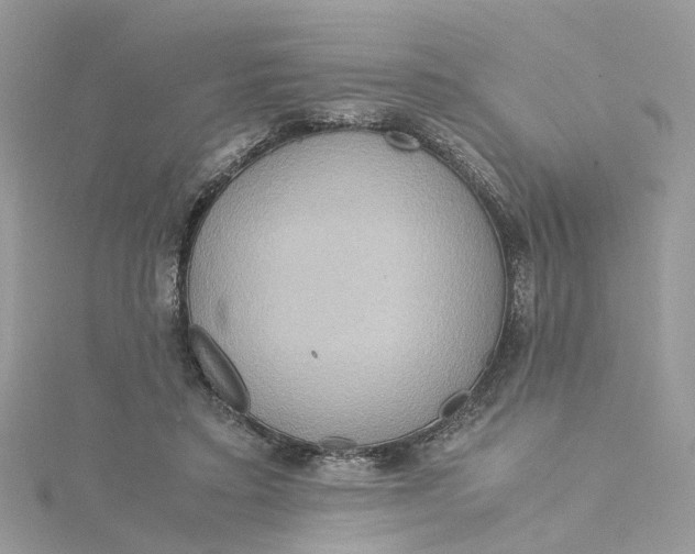 X0000115190403200911181452