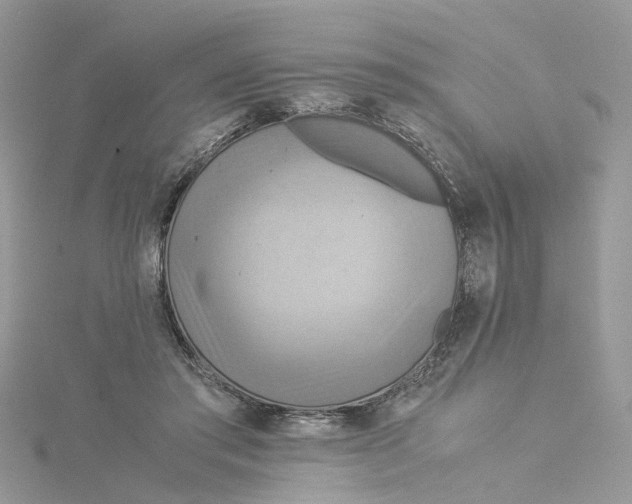 X0000115190405200911181452