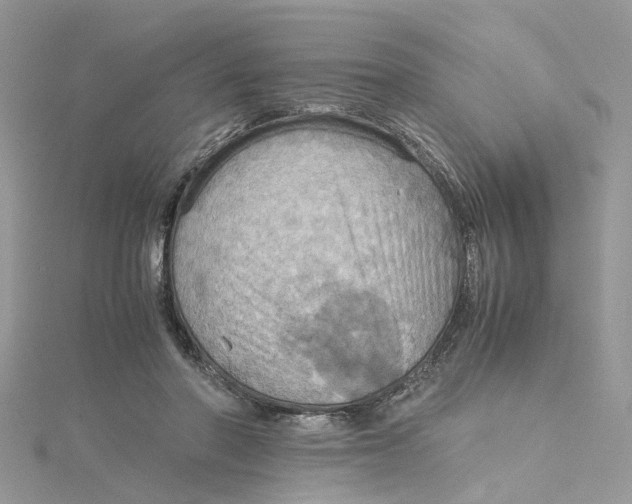 X0000115190406200911181452