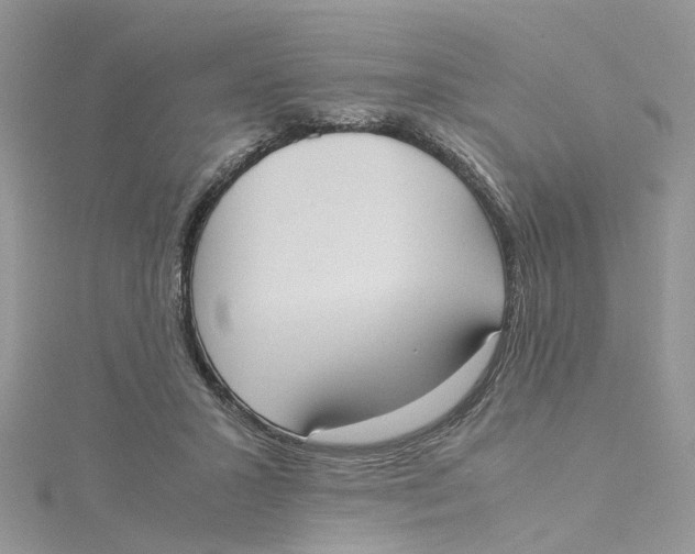 X0000115190407200911181452