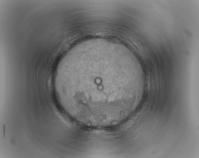 X0000115190408200911181452