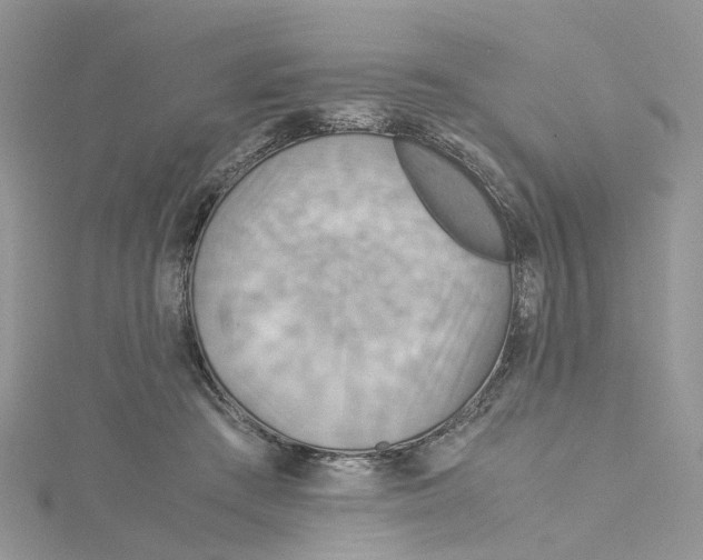 X0000115190409200911181452