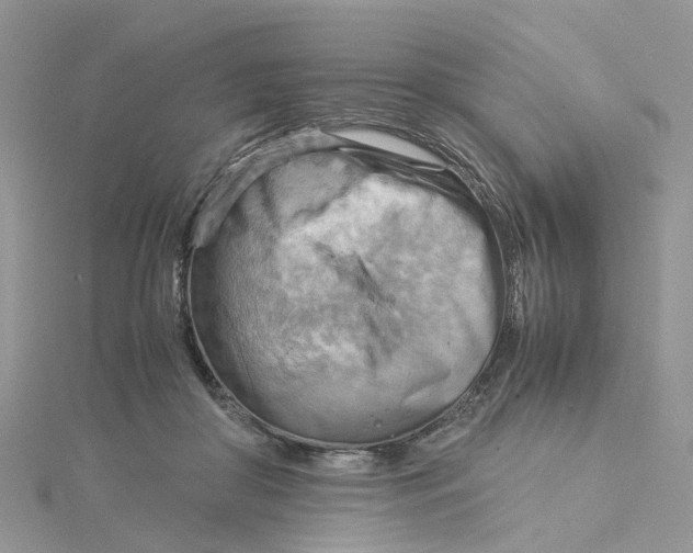 X0000115190410200911181452