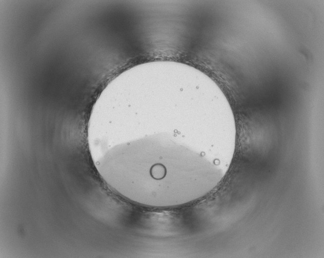 X0000115190411200911181452