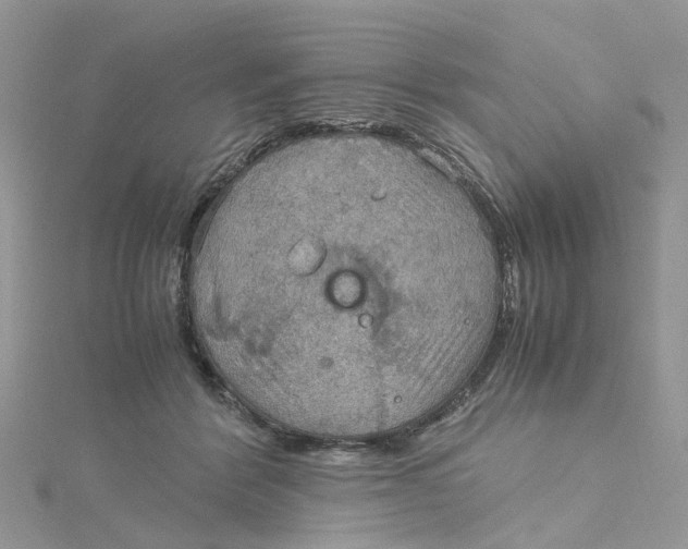 X0000115190412200911181452