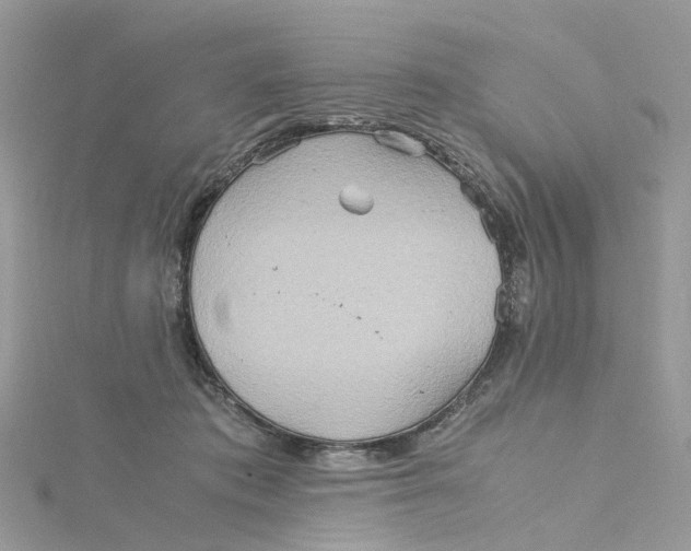 X0000115190413200911181452