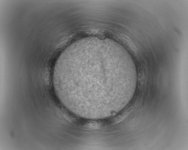 X0000115190416200911181452