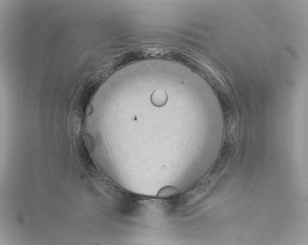 X0000115190417200911181452