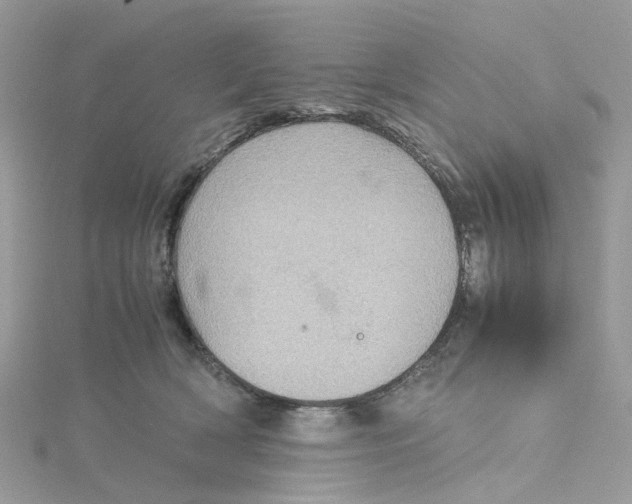 X0000115190418200911181452