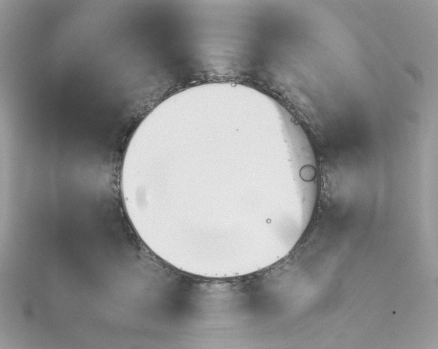 X0000115190419200911181452