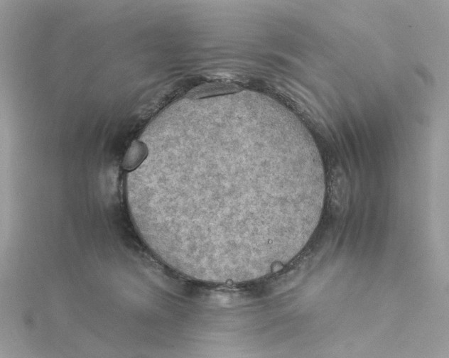 X0000115190420200911181452