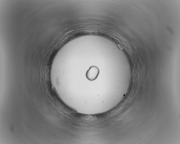 X0000115190421200911181452