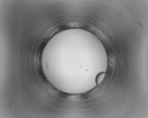 X0000115190422200911181452