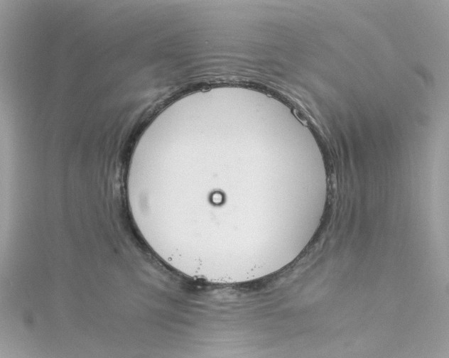 X0000115190423200911181452