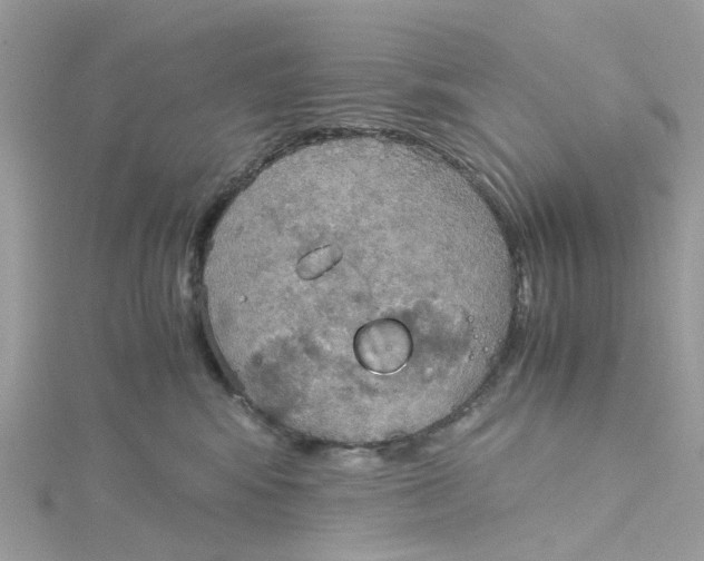 X0000115190424200911181452