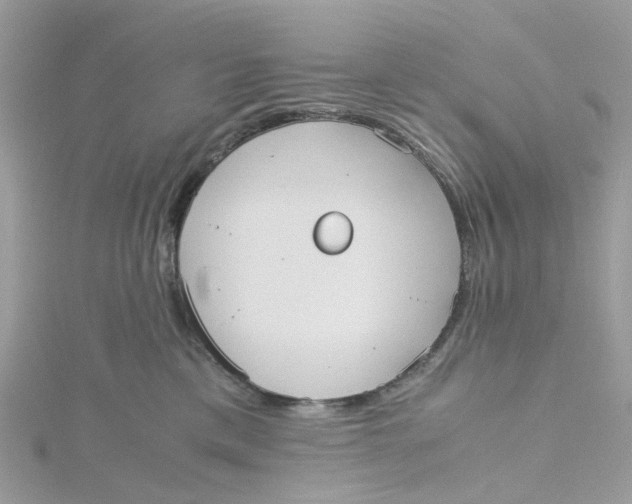 X0000115190425200911181452