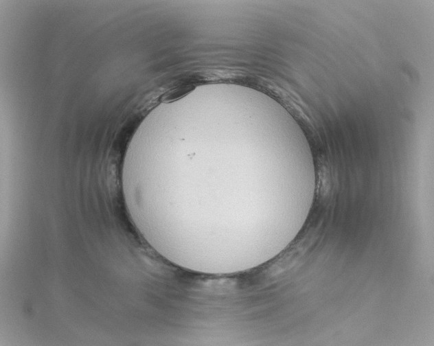 X0000115190426200911181452