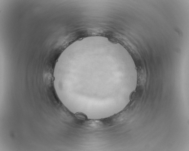 X0000115190427200911181452