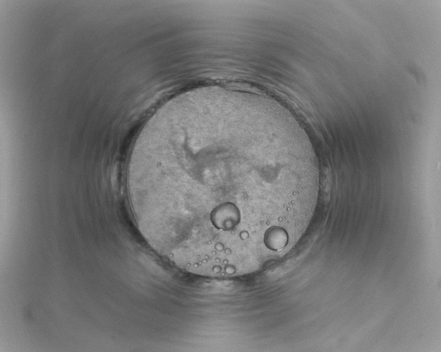 X0000115190428200911181452