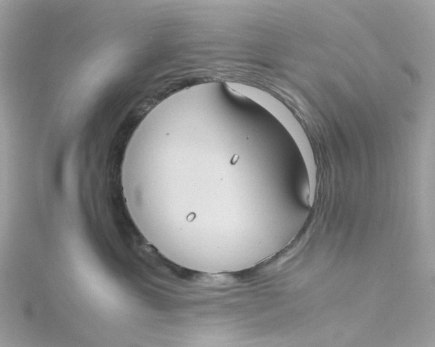 X0000115190429200911181452