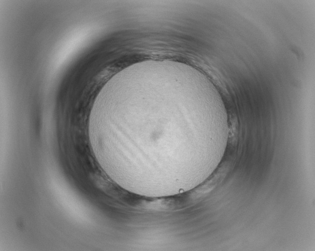 X0000115190430200911181452