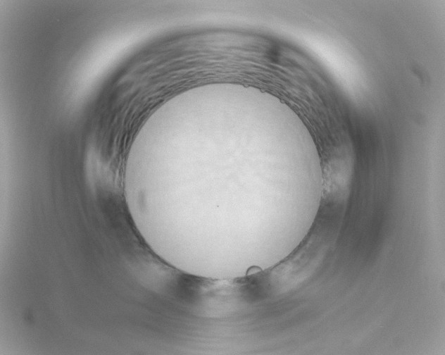 X0000115190431200911181452