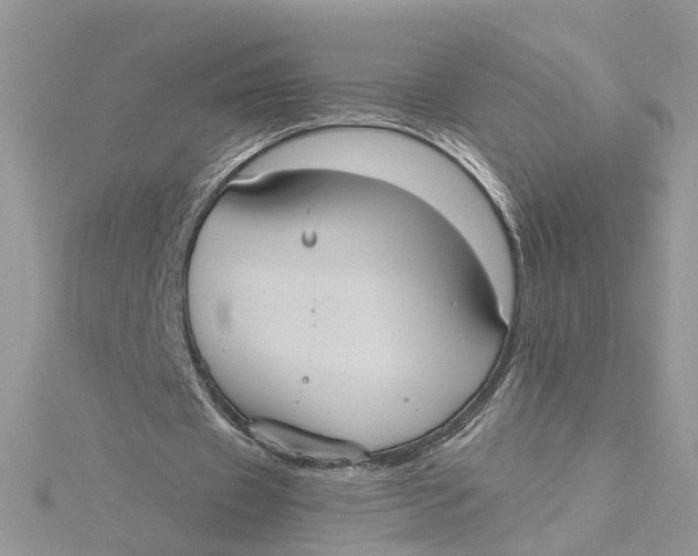 X0000115190433200911181451