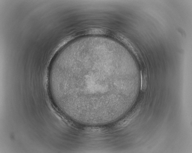 X0000115190435200911181451