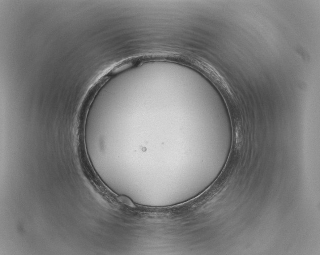 X0000115190436200911181451