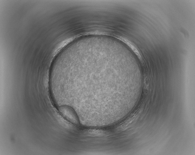 X0000115190437200911181451