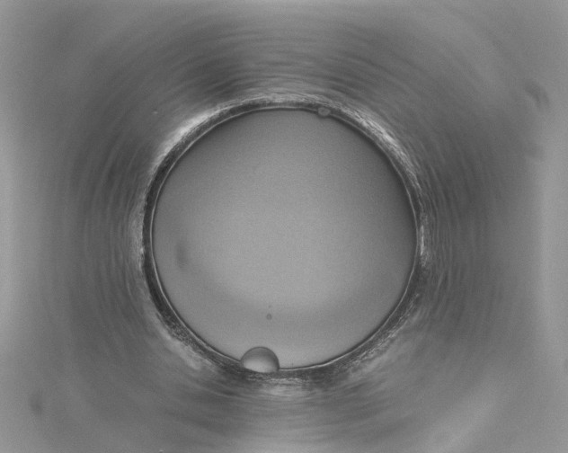 X0000115190438200911181451