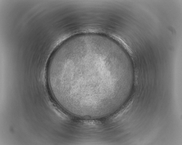 X0000115190439200911181451