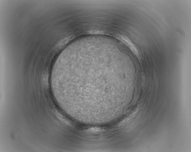 X0000115190441200911181451