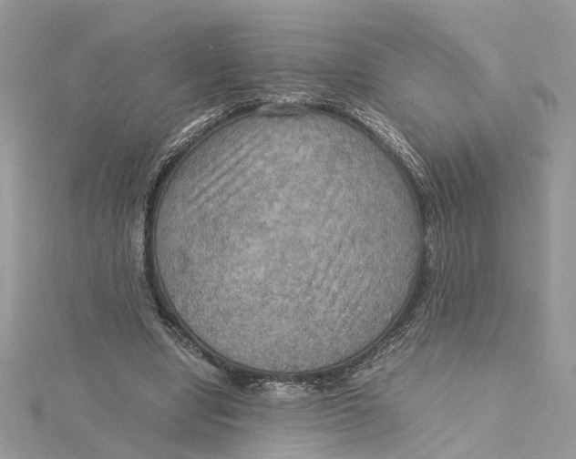 X0000115190442200911181451