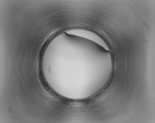 X0000115190444200911181451