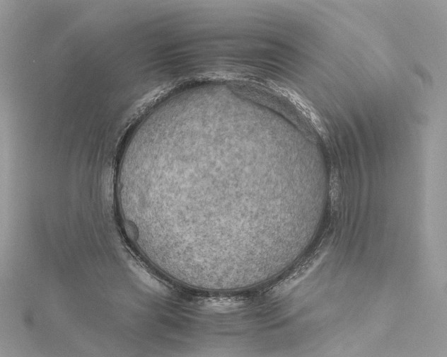 X0000115190445200911181451