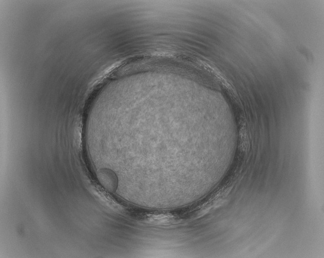 X0000115190446200911181451