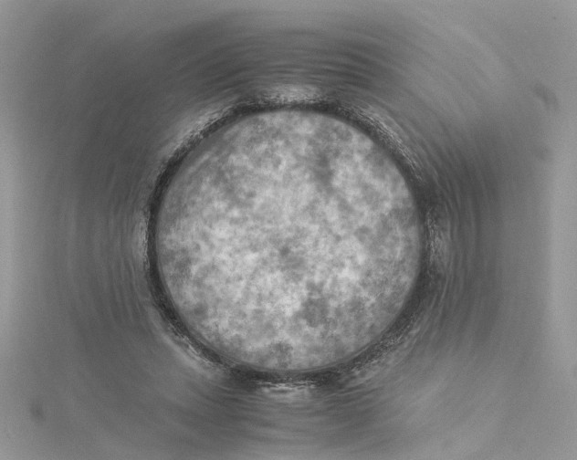 X0000115190447200911181451