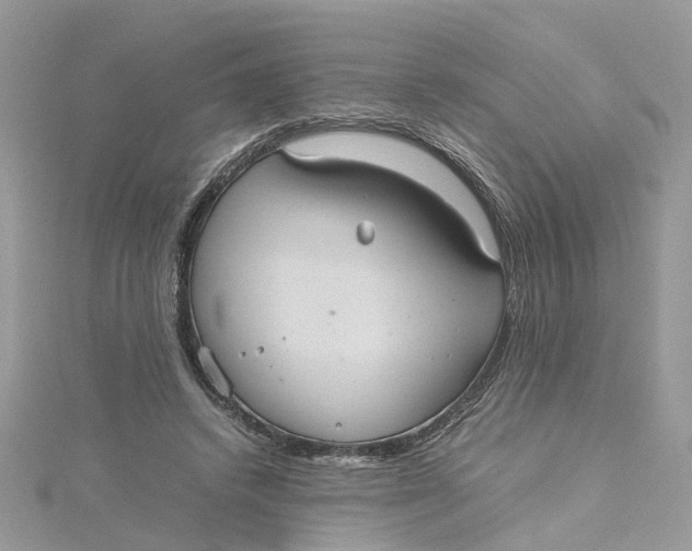 X0000115190448200911181451