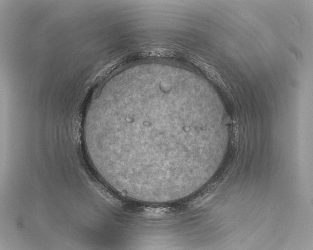 X0000115190450200911181451