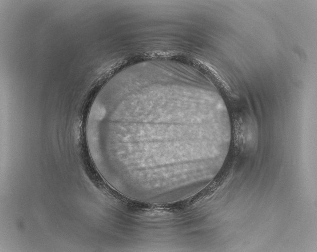 X0000115190451200911181451