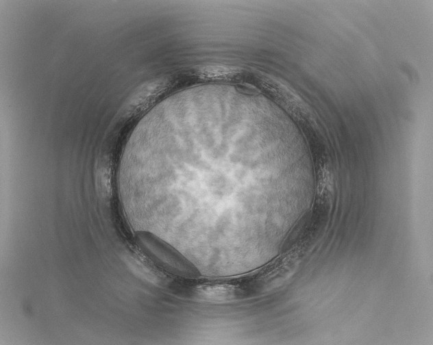 X0000115190452200911181451