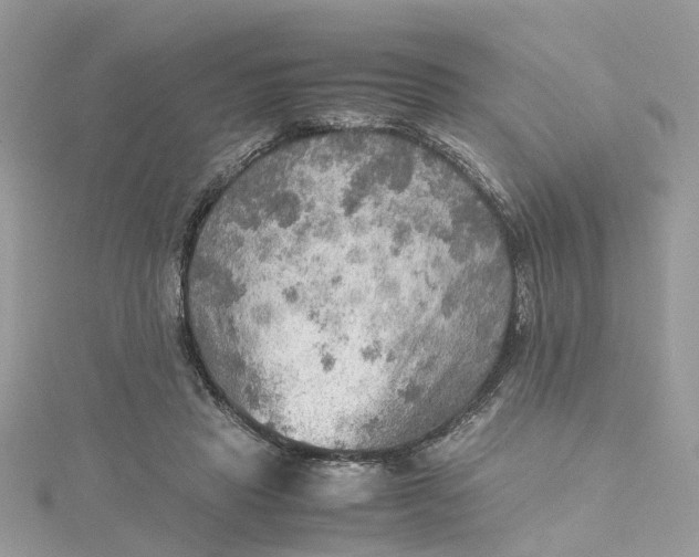 X0000115190453200911181451