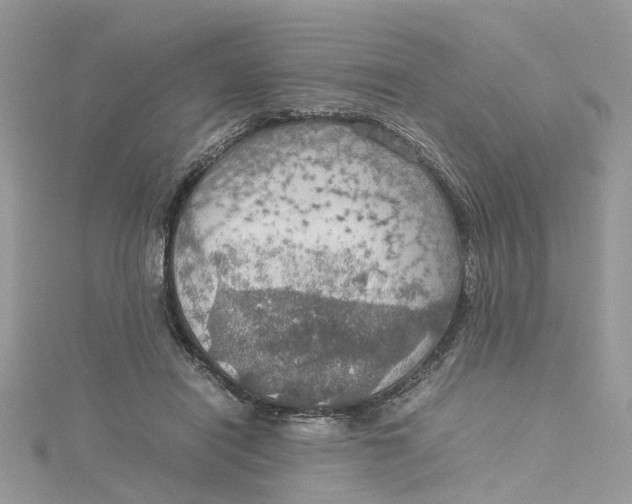 X0000115190454200911181451