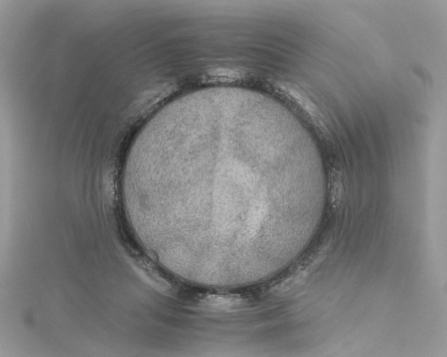 X0000115190455200911181451