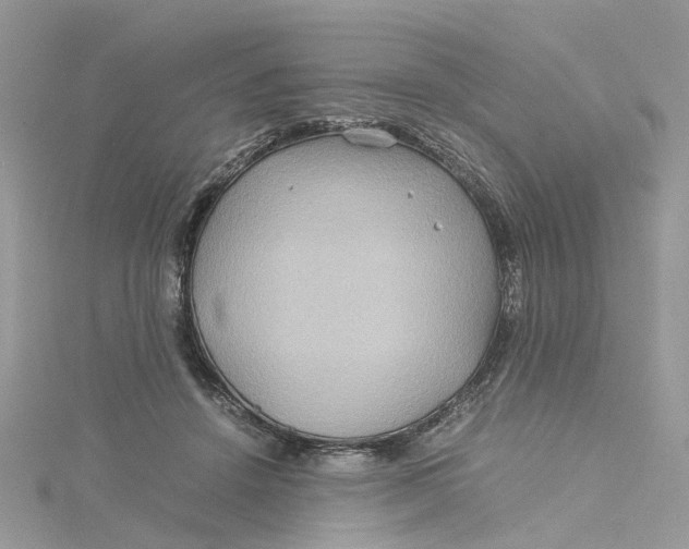 X0000115190456200911181451