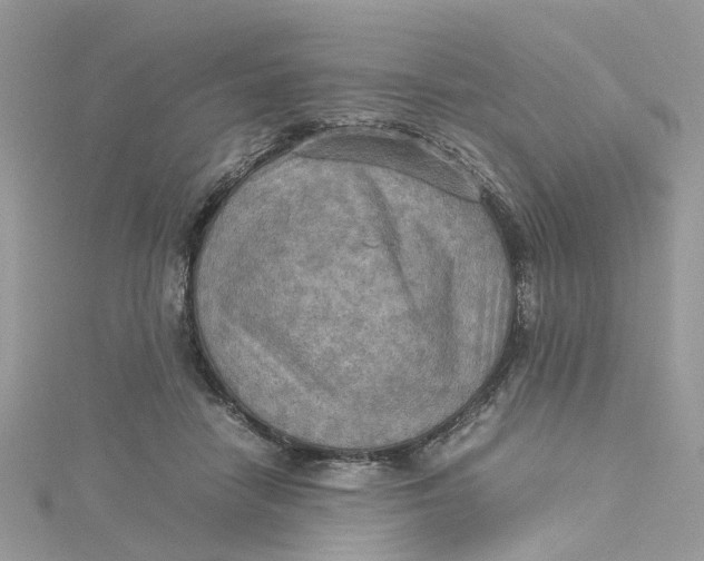 X0000115190458200911181451